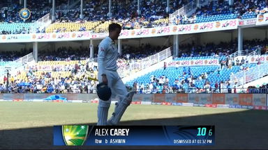 IND vs  AUS 2023, 1ST Test: Alex Carey  Wicket