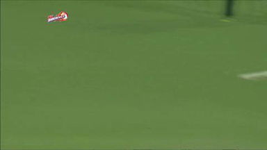 M14: DD vs SRH – Cameron White Special