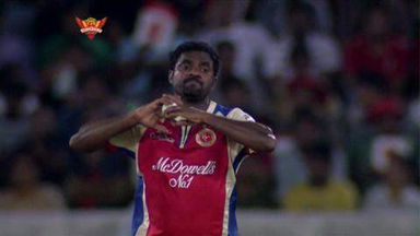M7 SRH vs RCB – Akshath Reddy Wicket