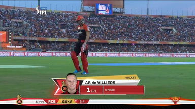 M11: SRH vs RCB –  AB de Villiers Wicket