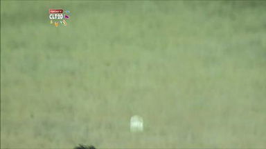 M22: MI vs T&T –  Dinesh Karthik Six