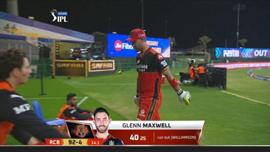M52: RCB vs SRH – Glenn Maxwell Wicket
