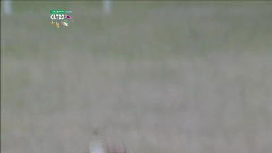 M4: DOL vs PER –  Adam Voges Wicket
