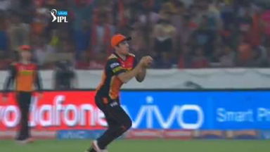 M18: SRH vs KXIP – Freecharge Bolt  Moment – Moises Henriques