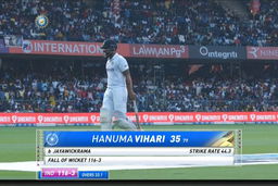 IND vs SL 2022, 2nd Test, Day 2: Hanuma Vihari Wicket