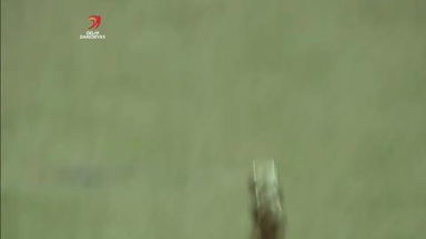M45: DD vs KXIP – Murali Vijay Wicket