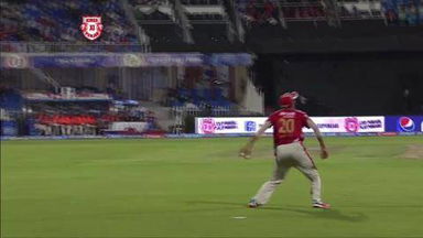 M9: KXIP vs SRH –  Darren Sammy Wicket
