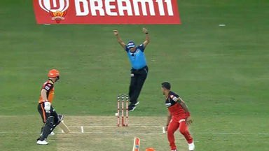 That unlucky Warner run-out