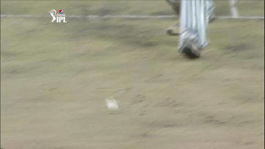 M39: SRH vs KXIP –  Wriddhiman Saha Wicket