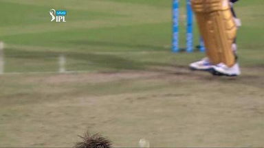 M30: RCB vs KKR – Manish Pandey Wicket