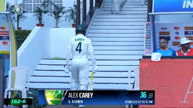 IND vs  AUS 2023, 1ST Test: Alex Carey  Wicket