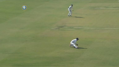 A sharp catch, courtesy Priyank Panchal