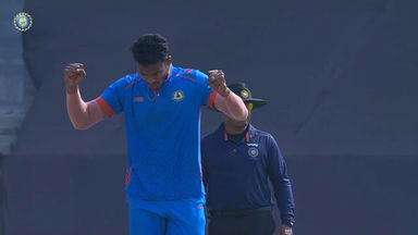 Vijay Hazare Trophy 2025 Final, Karnataka vs Vidarbha: Fall of Wickets