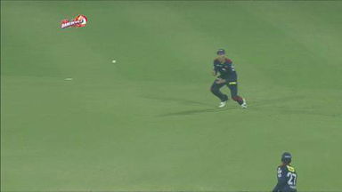 M14: DD vs SRH – Hanuma Vihari Wicket