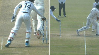Out or Not Out? You decide