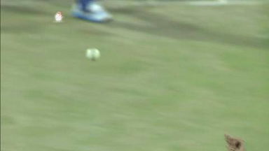 M32: DD vs SRH –  JP Duminy Wicket