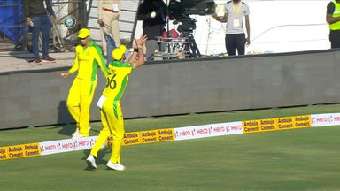IND vs AUS 2020, 2nd ODI: Virat Kohli Wicket