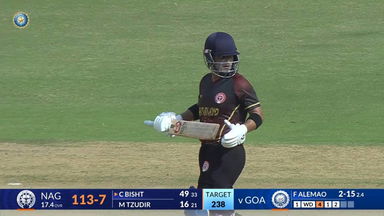 SMAT 2024, Goa vs Nagaland: Chetan Bist's fighting knock of 63(42)