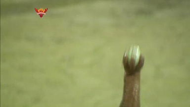 M19: SRH vs KKR – Fall Of Wickets