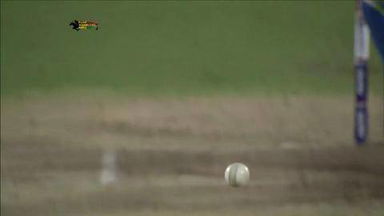 M42: PWI vs CSK – Aaron Finch Wicket