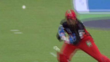 M35: RCB vs RPS – George Bailey Wicket