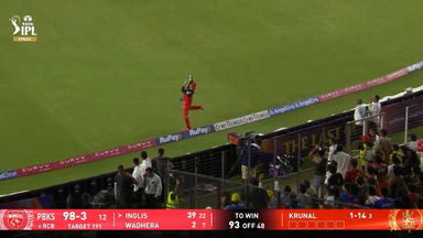 Terrific balancing act: Livingstone's brilliant catch on the fence