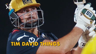 Just Tim David Things
