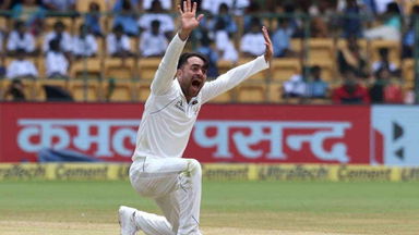 IND vs AFG 2018, 1st Test: IND 1st Innings Fall of Wickets