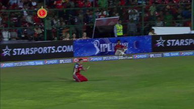 M24: RCB vs SRH–  Darren Sammy Wicket