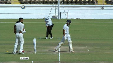 Ouch! Umpire C Shamshuddin is down