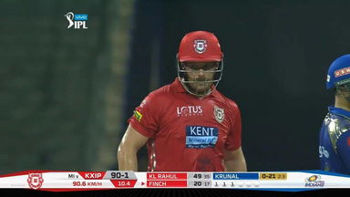 Aaron Finch's supporting act 46 (35)