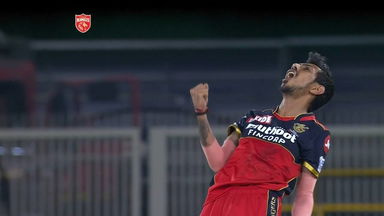 Chahal outfoxes Shahrukh Khan