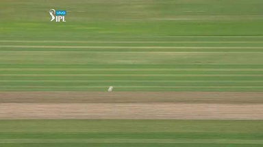 M60: RCB vs SRH – Deepak Hooda Wicket