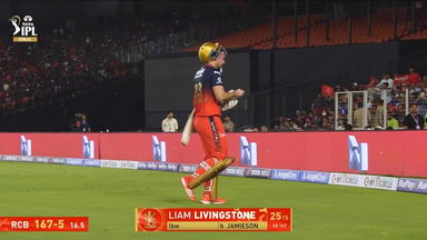 IPL 2025 Final: RCB vs PBKS - Liam Livingstone Wicket