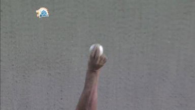 M37: CSK vs RR –  Steve Smith Wicket