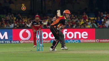 M4: RCB vs SRH – David Warner Six