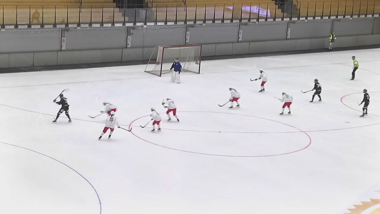 Highlights Sandvikens AIK - Uppsala BoIS
