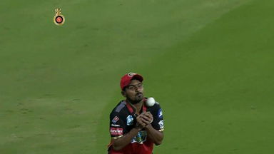 M Ashwin's pop-a-doodle-doo