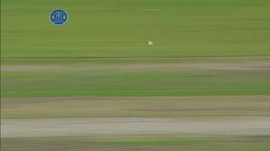 M41: RR vs DD –  JP Duminy Wicket