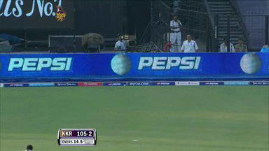 M17: KKR vs SRH – Super Fours