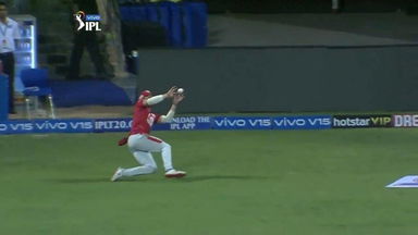 Miller's Killer catch