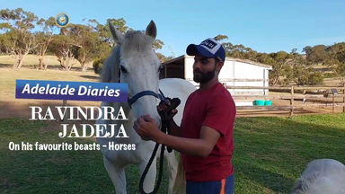 Meet Jaddu's best friends - Horses