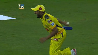 Unbelievable: Spider cam saves Gill