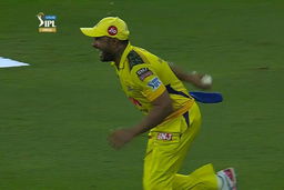 Unbelievable: Spider cam saves Gill