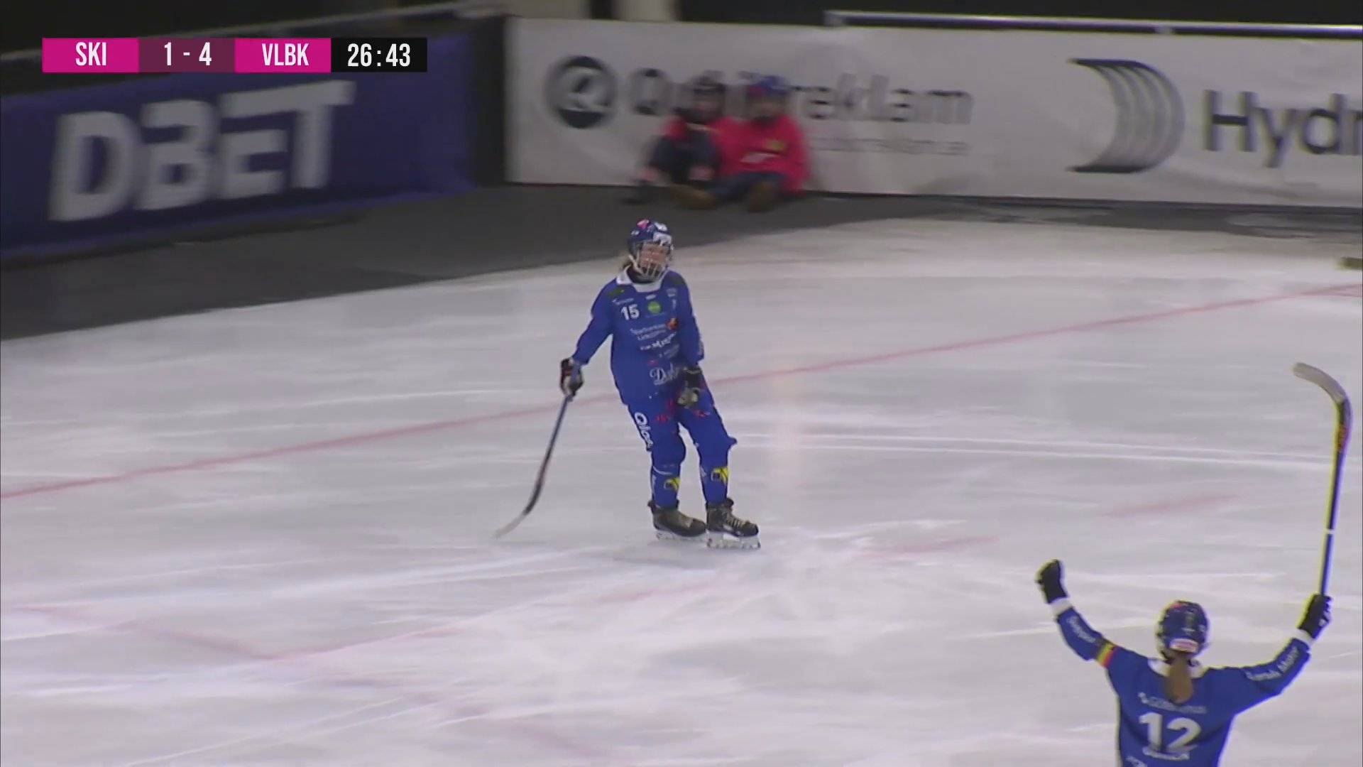 Highlights: Skirö - Villa Lidköping