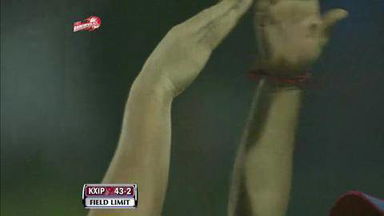 Match 64 DD vs KKR – Singh's Wicket