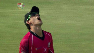 M3: CSK vs SYD – Wickets