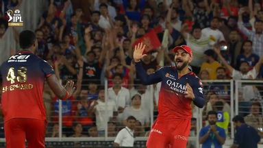 IPL 2025 Final: RCB vs PBKS - Fall of Wickets