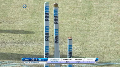 New Stump Please!