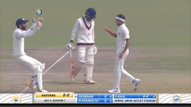Ranji Trophy 2021-22, Punjab v Haryana: Haryana 1st Innings Fall of Wickets